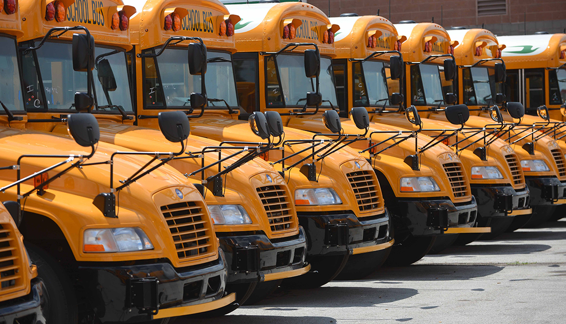 School Fleet